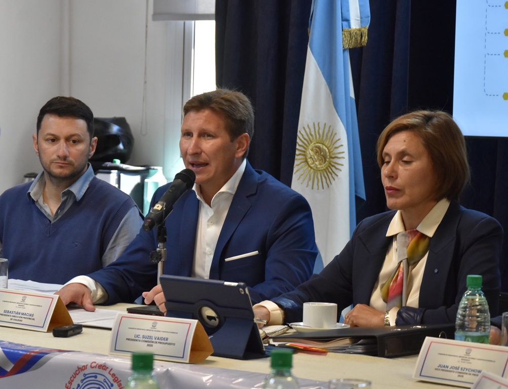 La Legislatura analizó el proyecto de presupuesto 2026 para el Iprodha y Vialidad Provincial 7 La Legislatura analizó el proyecto de presupuesto 2026 para el Iprodha y Vialidad Provincial imagen-6