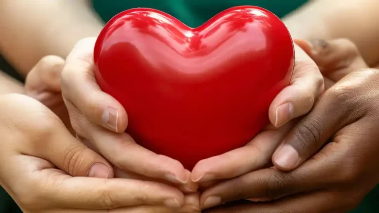 Día Mundial del Corazón: Se registran 40 mil infartos al año en Argentina y crece la preocupación por los casos en jóvenes imagen-23