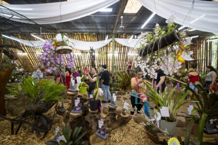 Todo listo en Montecarlo para la Fiesta Nacional de la Orquídea y la 41 Fiesta Provincial de la Flor imagen-10