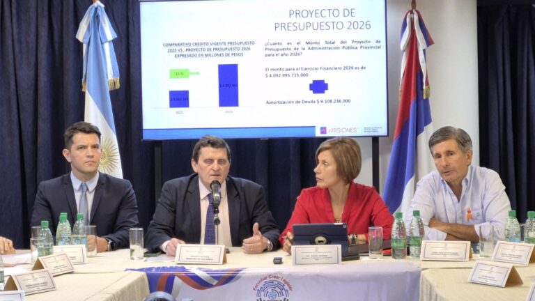 Con recortes de Nación, superiores al 56% respecto a lo recibido por la Provincia en 2023, Misiones presenta un Presupuesto 2026 "equilibrado, enfocado en Salud, Educación y Bienestar Social" imagen-25