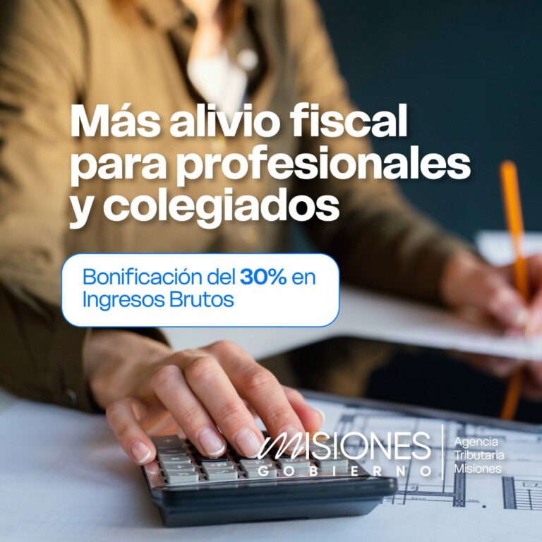 Passalacqua anunció una bonificación especial del 30% en Ingresos Brutos para profesionales matriculados imagen-46