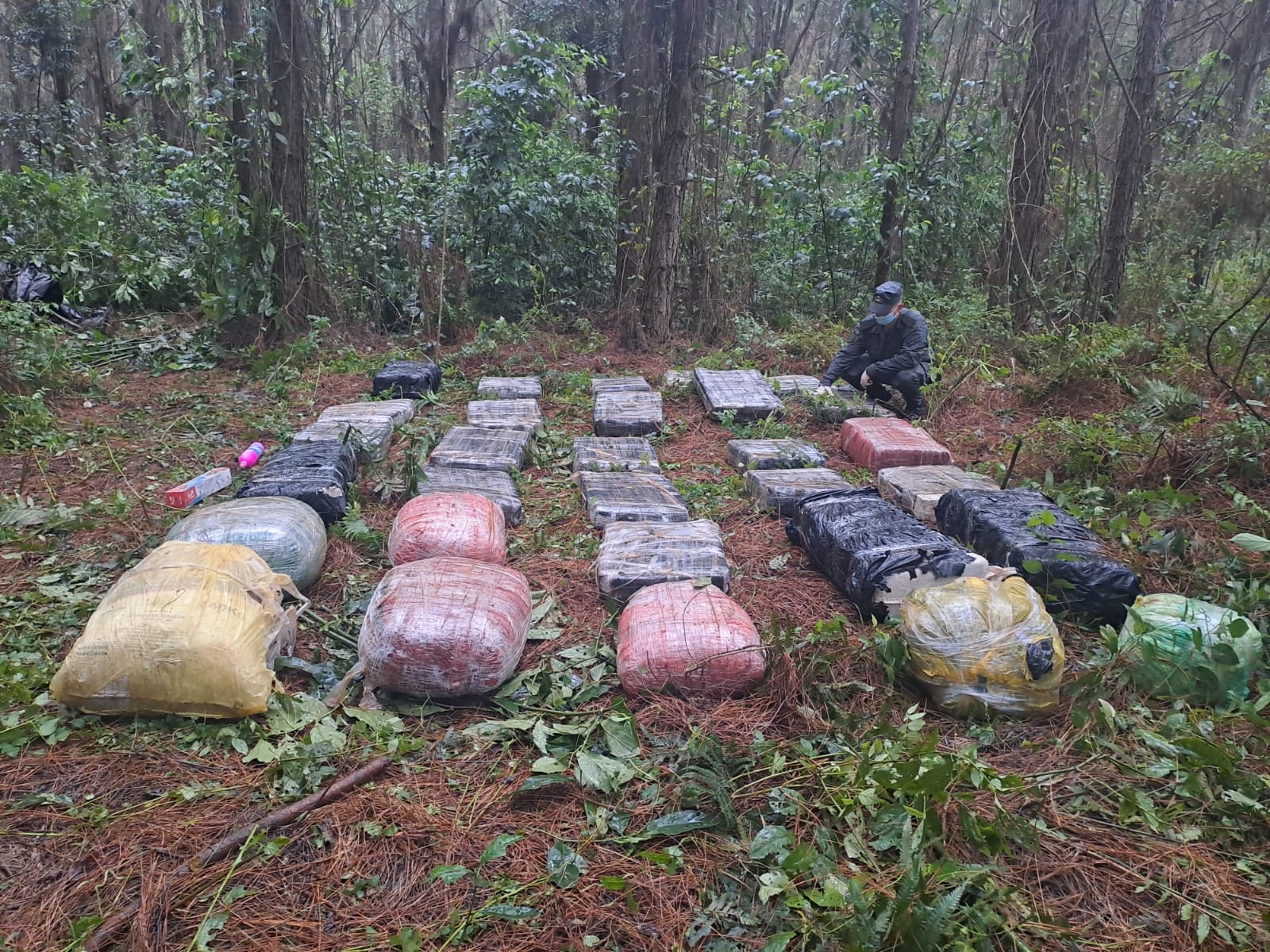 Gendarmes incautan media tonelada de marihuana en la zona del lago Urugua-í 3 Gendarmes incautan media tonelada de marihuana en la zona del lago Urugua-í imagen-2