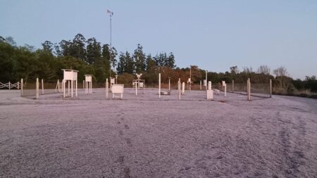 Terminó el invierno, fue más frio que lo normal (por Favio Cabello) Terminó el invierno, fue más frio que lo normal (por Favio Cabello) imagen-6