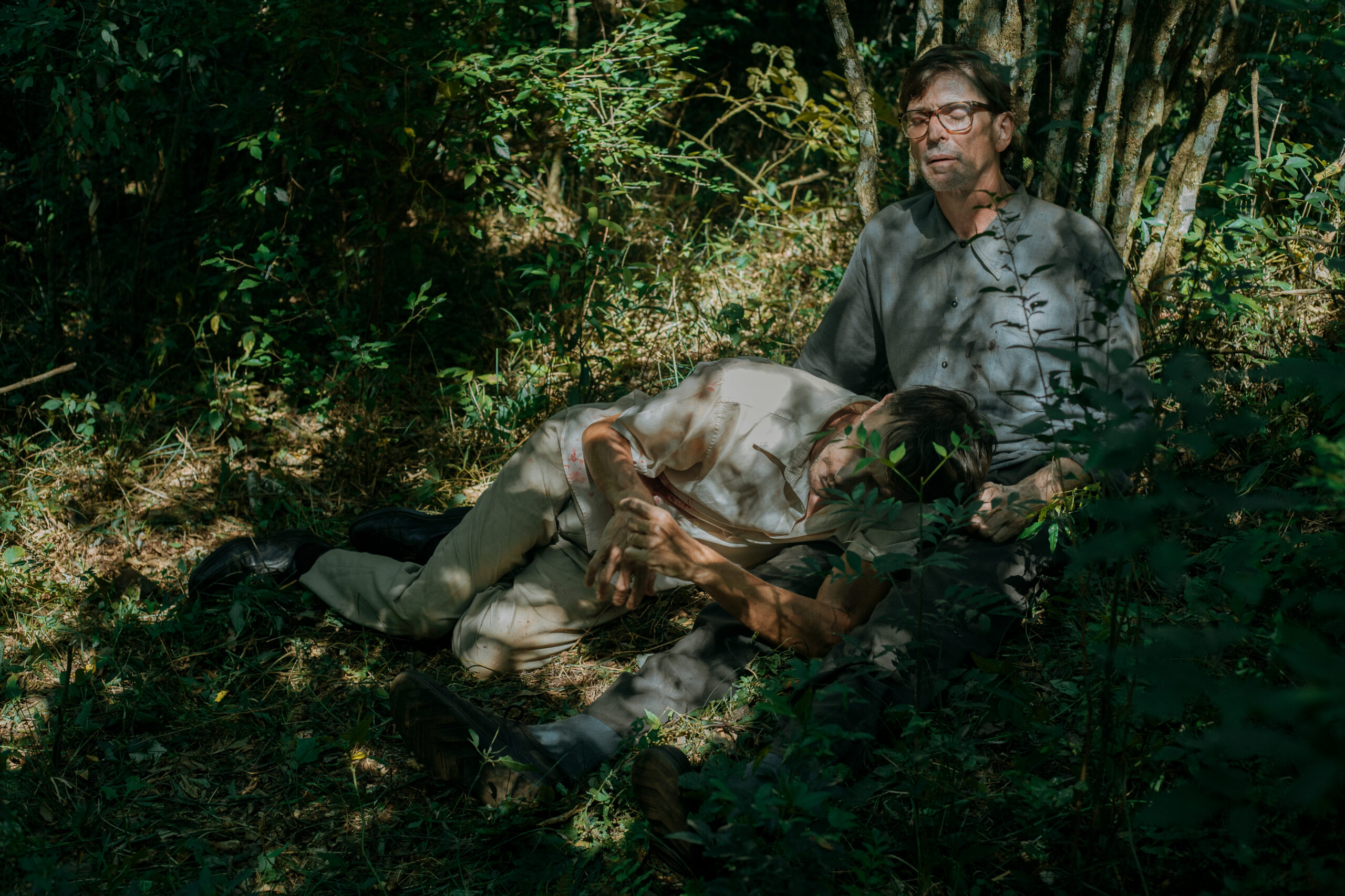 “Araucario”: memoria, cine y resistencia en la pantalla misionera imagen-8