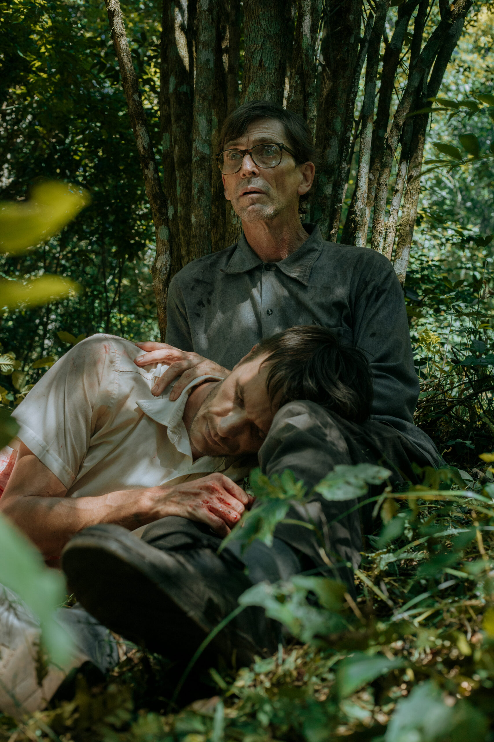 “Araucario”: memoria, cine y resistencia en la pantalla misionera imagen-10