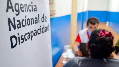 El Gobierno suspendió las bajas de las pensiones mientras dure la auditoría en ANDIS imagen-3