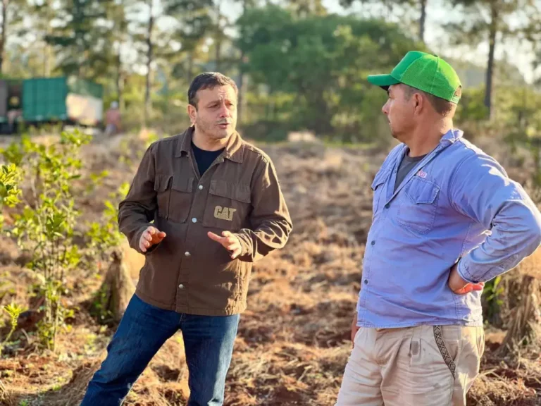 Volver a los 50 centavos de dólar: la propuesta de Herrera Ahuad para sostener la producción yerbatera Volver a los 50 centavos de dólar: la propuesta de Herrera Ahuad para sostener la producción yerbatera imagen-11