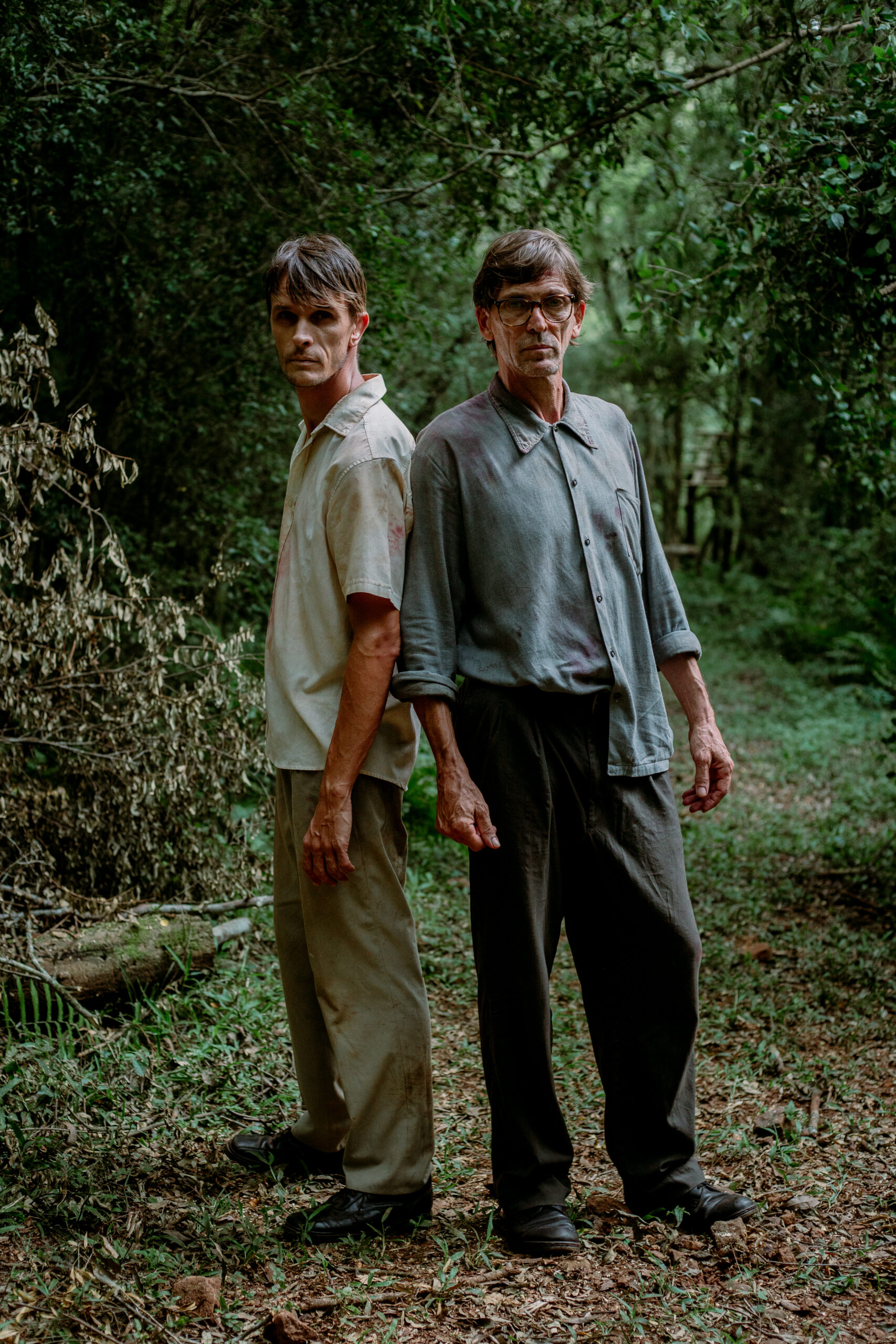 “Araucario”: memoria, cine y resistencia en la pantalla misionera imagen-6