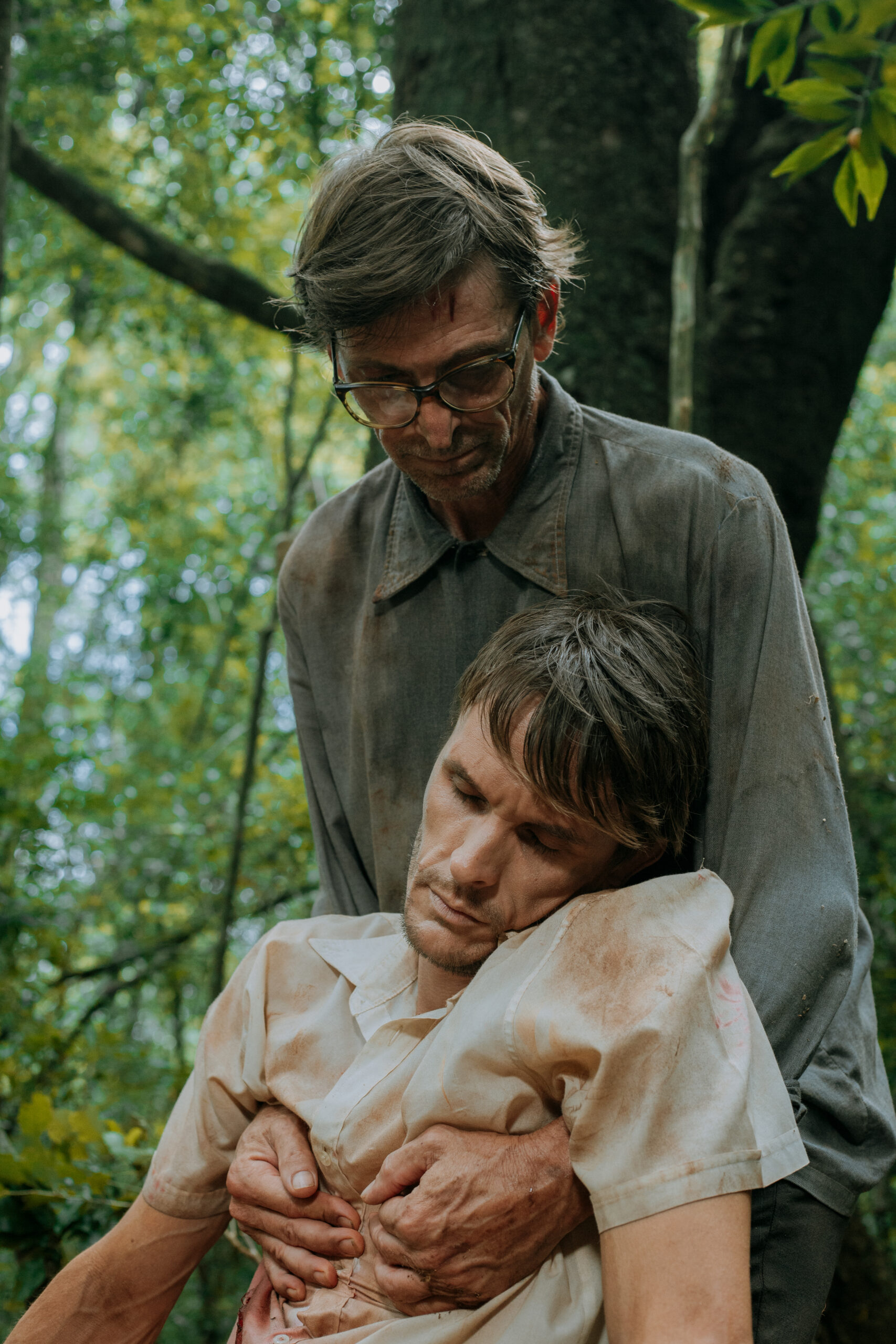 “Araucario”: memoria, cine y resistencia en la pantalla misionera imagen-4