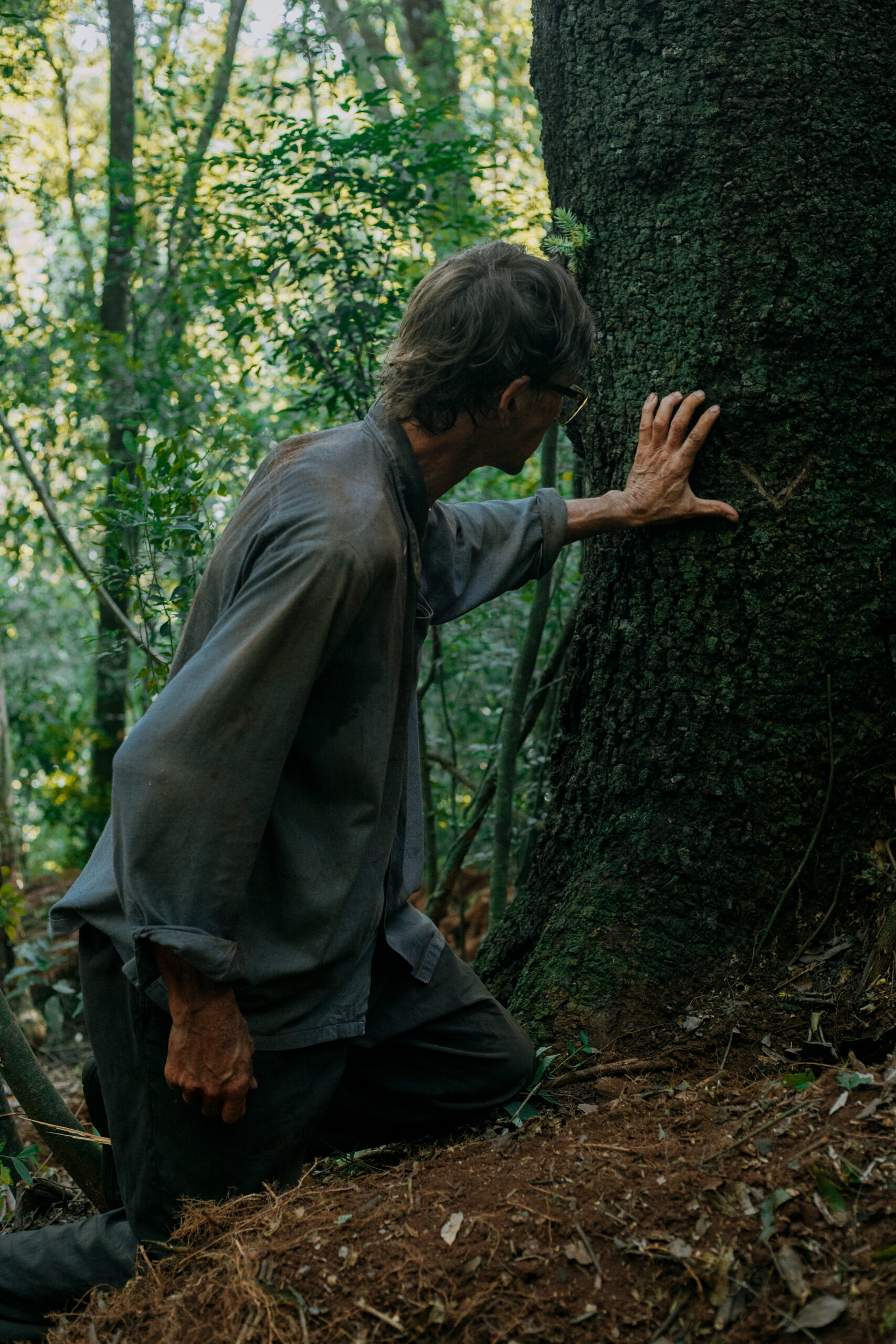 “Araucario”: memoria, cine y resistencia en la pantalla misionera imagen-14