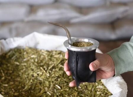 Entre enero y julio creció 12% el consumo de yerba mate en la Argentina imagen-5