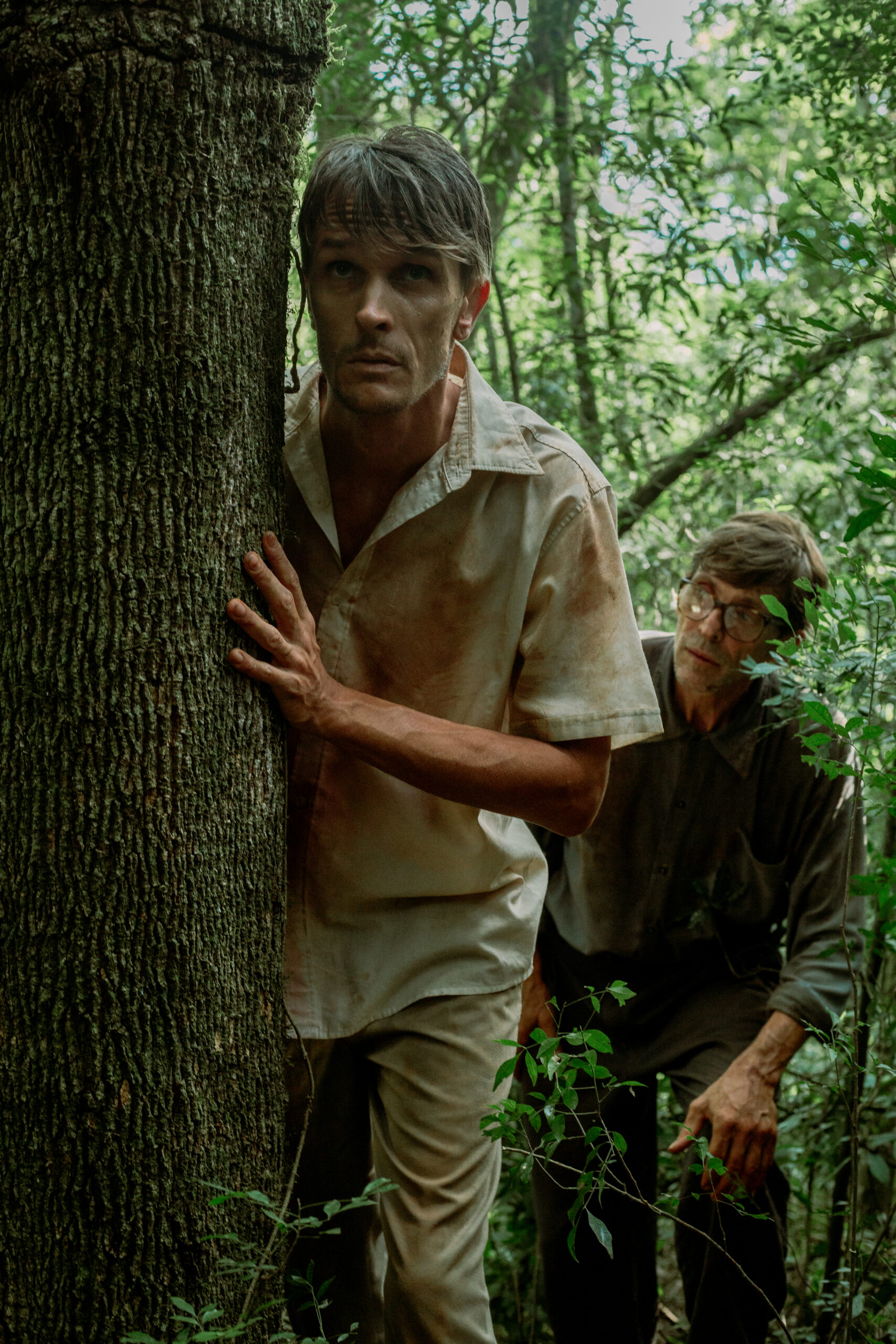 “Araucario”: memoria, cine y resistencia en la pantalla misionera imagen-16