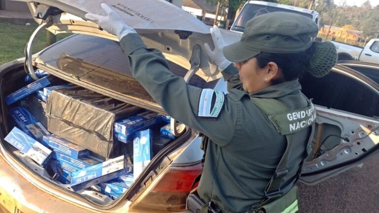 Abandonan dos vehículos sobre la Ruta 17 cargados con 50.000 paquetes de cigarrillos y con patentes falsas imagen-41