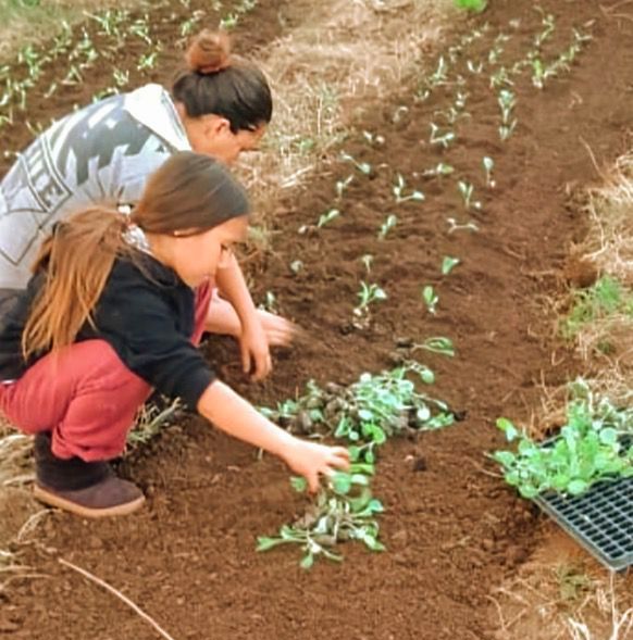 Sanción de la Ley de Promoción del Trabajo y Arraigo Rural: más oportunidades para jóvenes en la chacra, señalan imagen-10