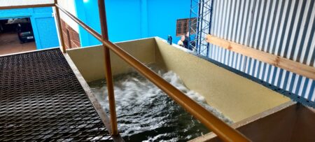 Más de 1500 familias de Salto Encantado ya cuentan con agua potable tras la reactivación y puesta en valor del sistema de potabilización ejecutado por el IMAS imagen-4