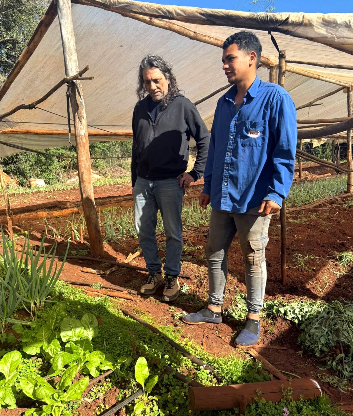 Sanción de la Ley de Promoción del Trabajo y Arraigo Rural: más oportunidades para jóvenes en la chacra, señalan imagen-2