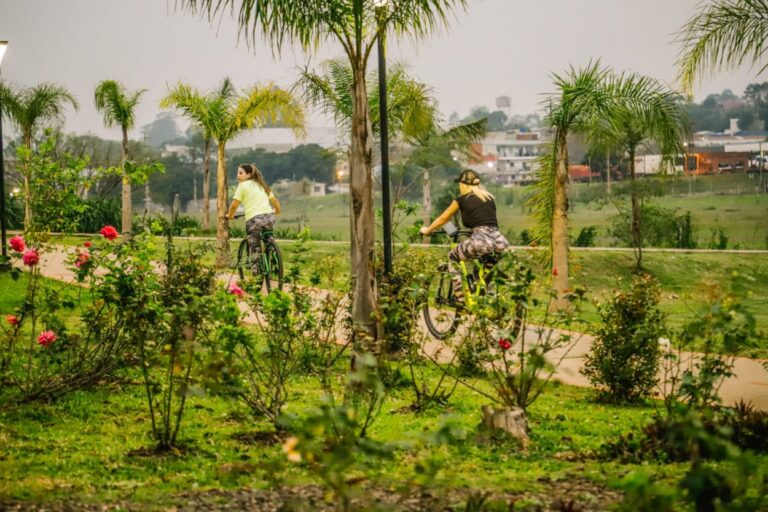 Expo Jardín Misiones llega por primera vez a Posadas con actividades que integran diseño, arte, conciencia ecológica y propuestas sustentables en el Jardín Botánico imagen-47