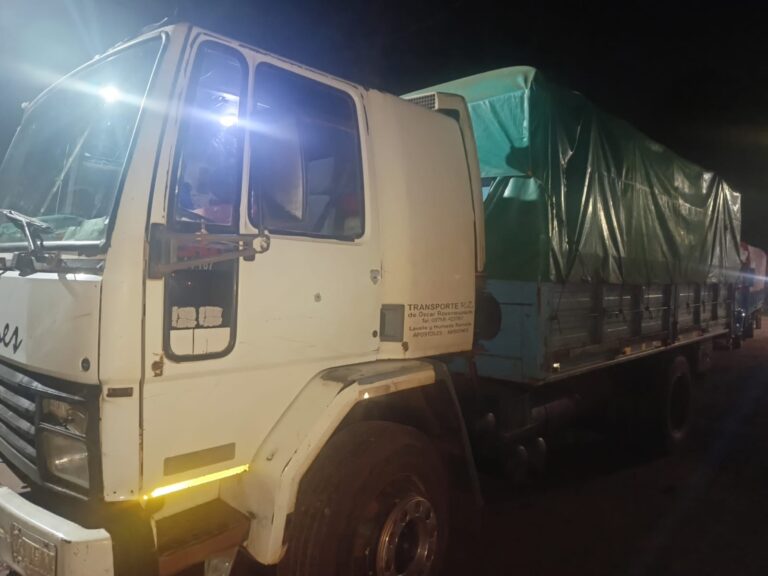 Camionero resultó herido por un proyectil mientras circulaba por la Ruta 105 Camionero resultó herido por un proyectil mientras circulaba por la Ruta 105 imagen-19