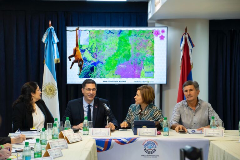Con anuncios el ministro Recamán presentó el Presupuesto 2026 para Ecología imagen-41