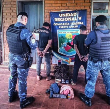 En 2025 la Policía ya arrestó a casi 50 delincuentes por robo de cables imagen-8