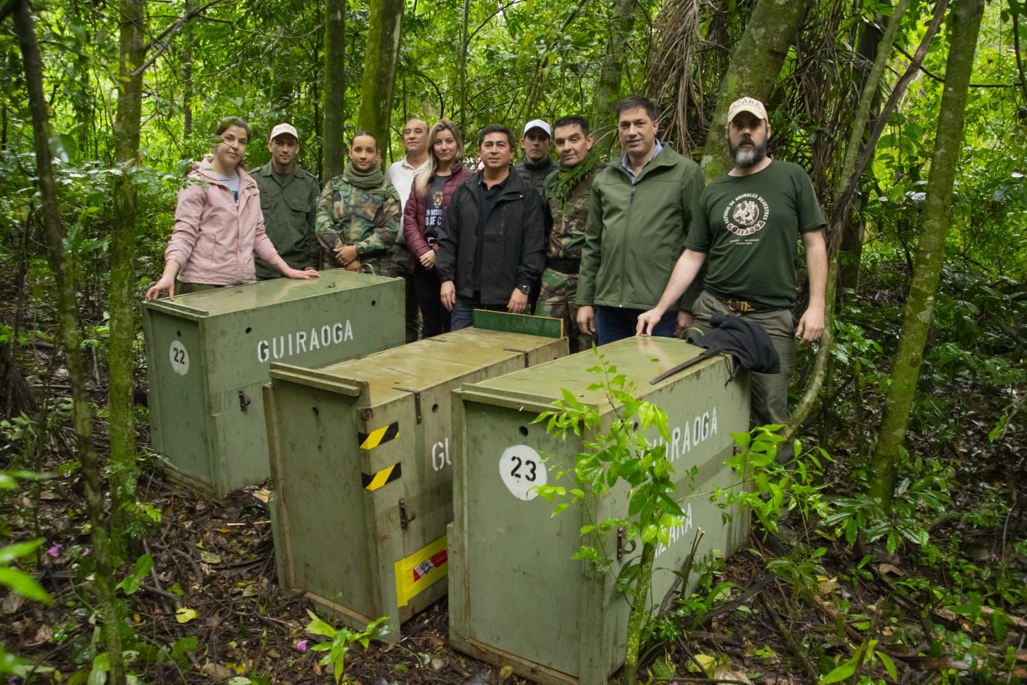 Tras un largo proceso de rehabilitación, tres pecaríes labiados y una lechuza fueron reinsertados en su hábitat natural imagen-4