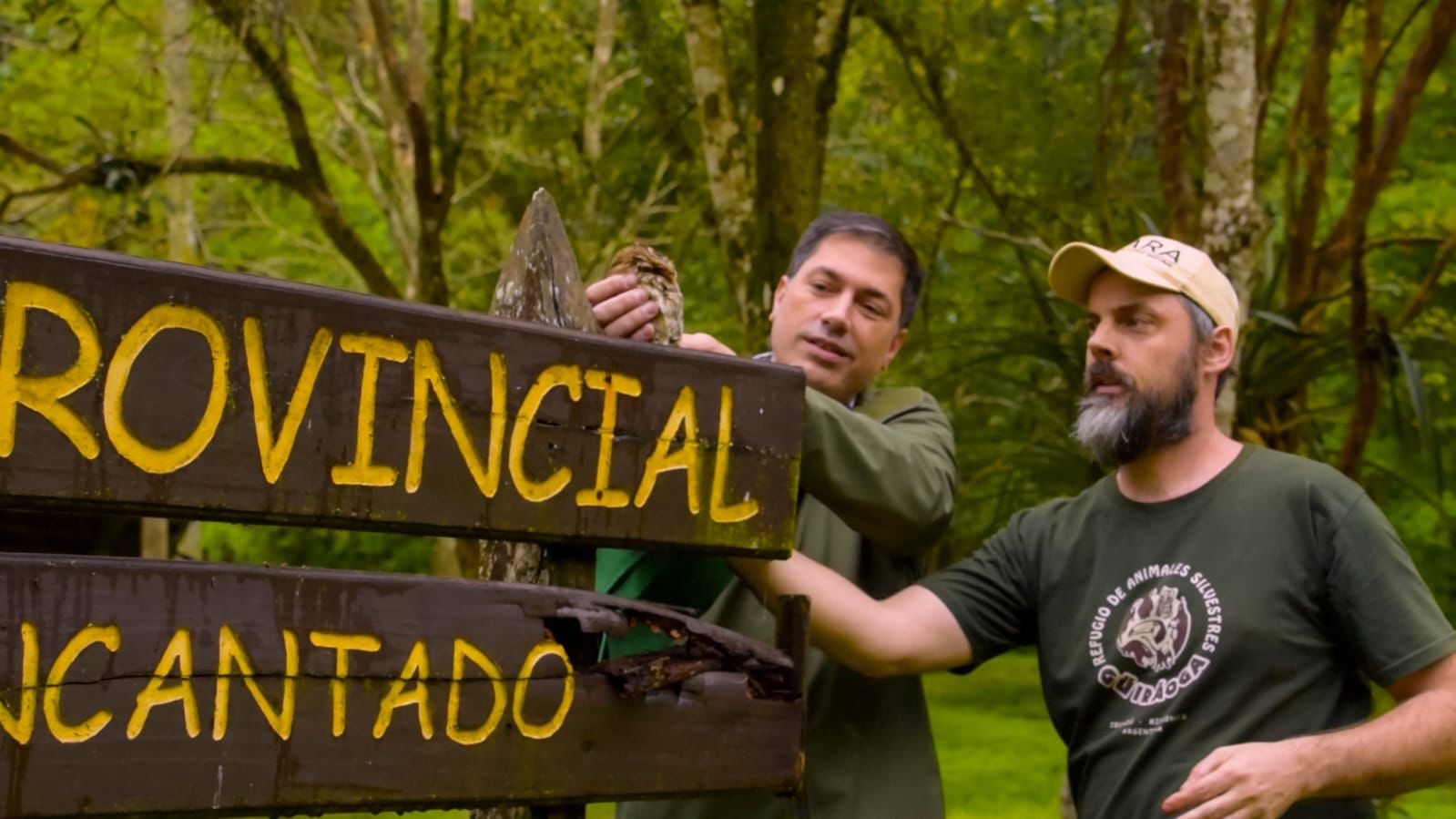 Tras un largo proceso de rehabilitación, tres pecaríes labiados y una lechuza fueron reinsertados en su hábitat natural imagen-14