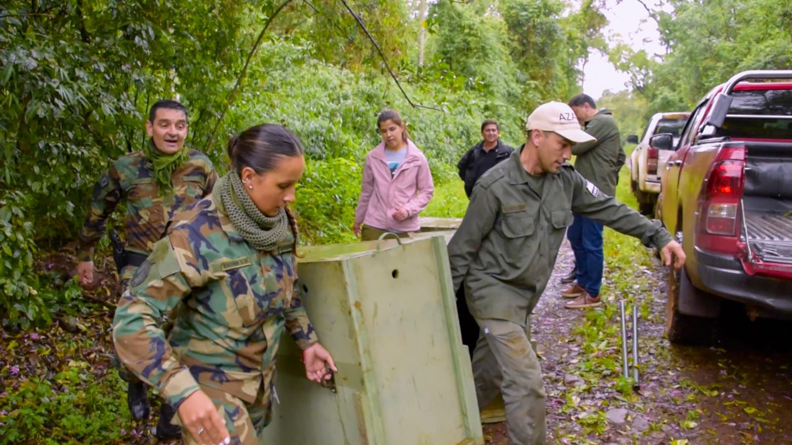 Tras un largo proceso de rehabilitación, tres pecaríes labiados y una lechuza fueron reinsertados en su hábitat natural imagen-16