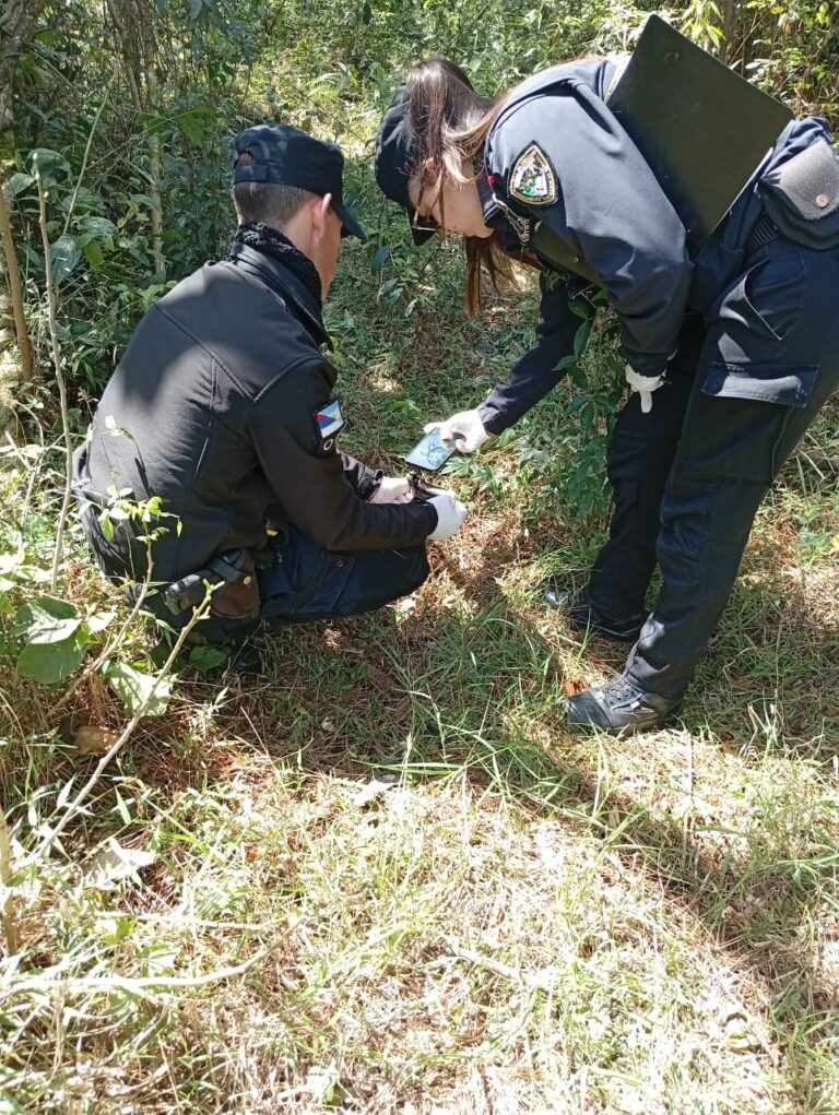 La Policía secuestró un arma de fuego que podría estar vinculada al femicidio de San Vicente La Policía secuestró un arma de fuego que podría estar vinculada al femicidio de San Vicente imagen-50