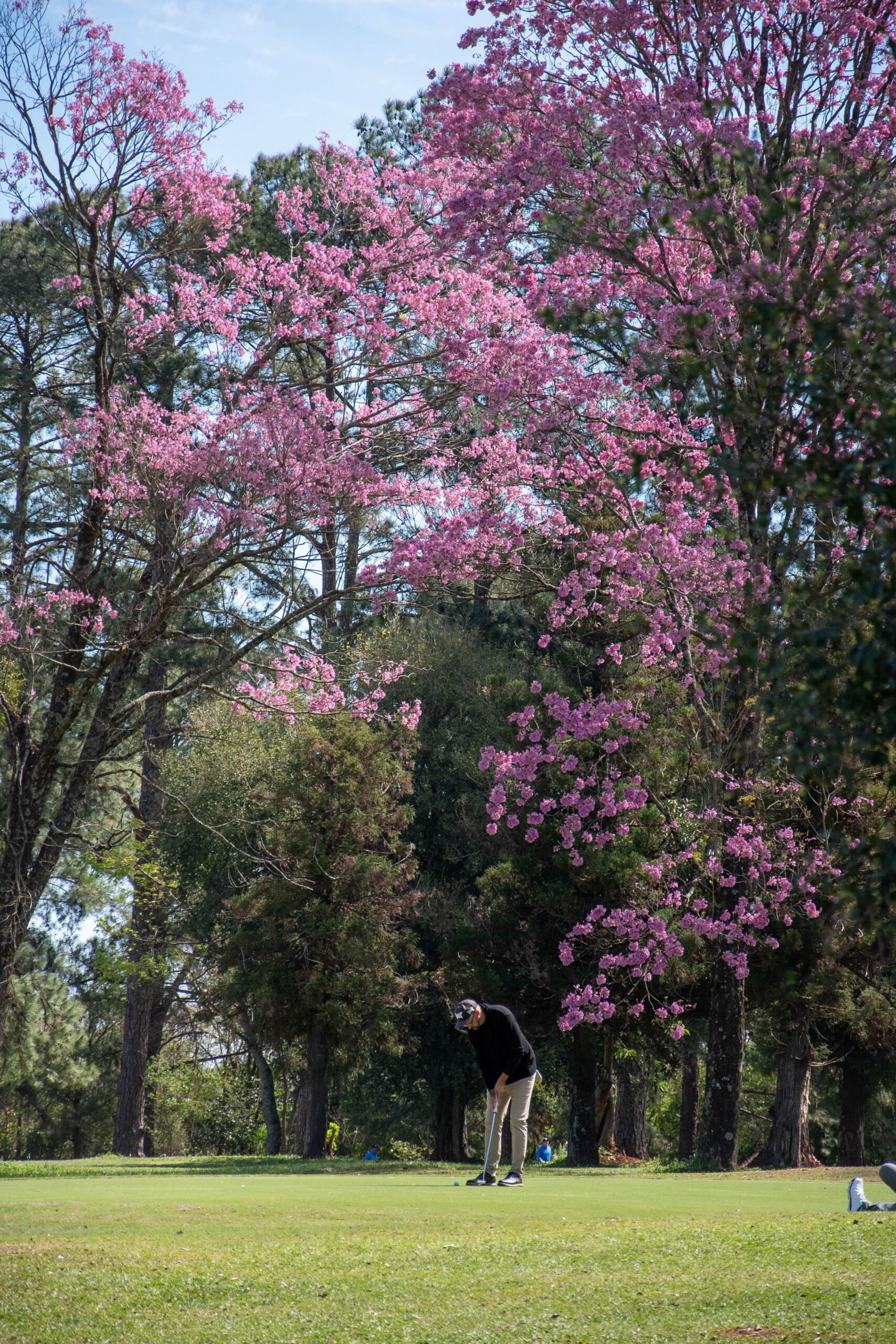 El Tacurú, en lo más alto del golf del nordeste 23 El Tacurú, en lo más alto del golf del nordeste imagen-22