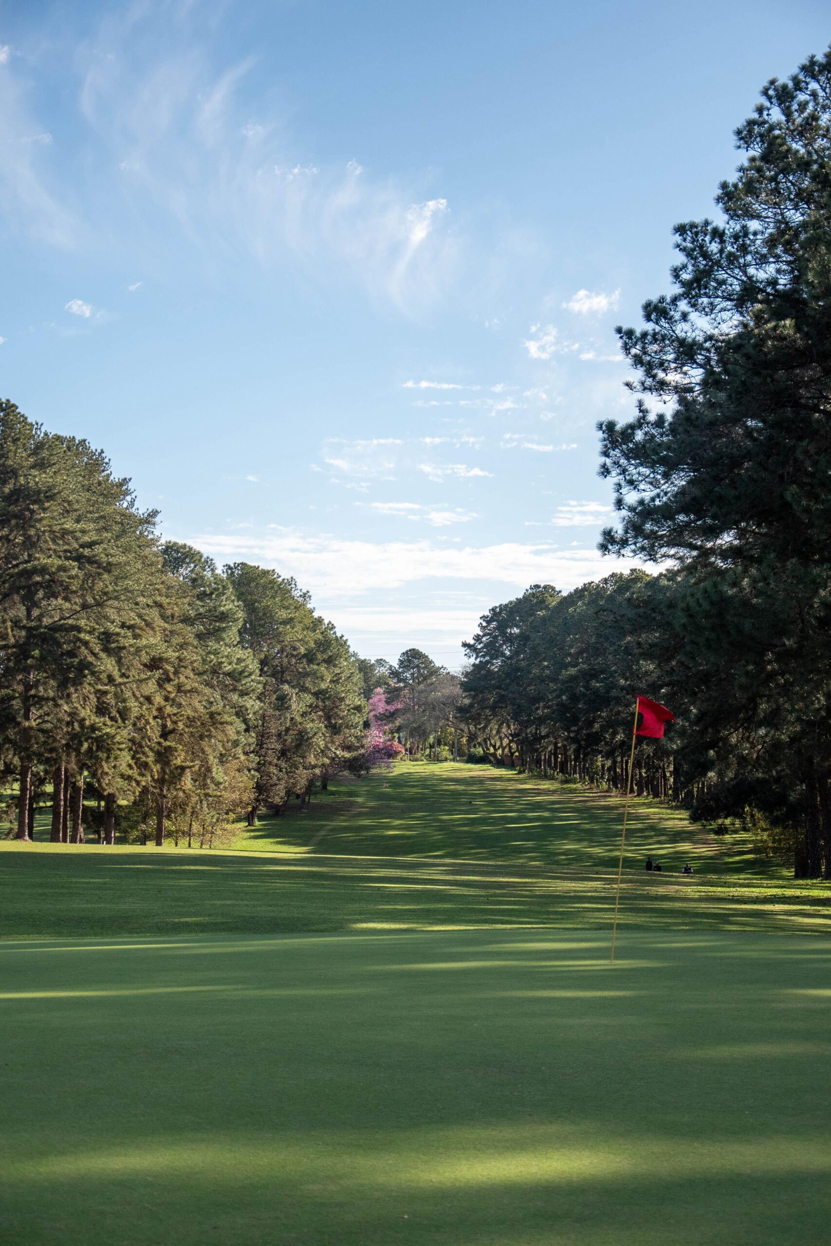 El Tacurú, en lo más alto del golf del nordeste 9 El Tacurú, en lo más alto del golf del nordeste imagen-8