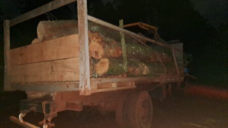 Secuestraron madera nativa en procedimientos de control en Comandante Andresito imagen-9