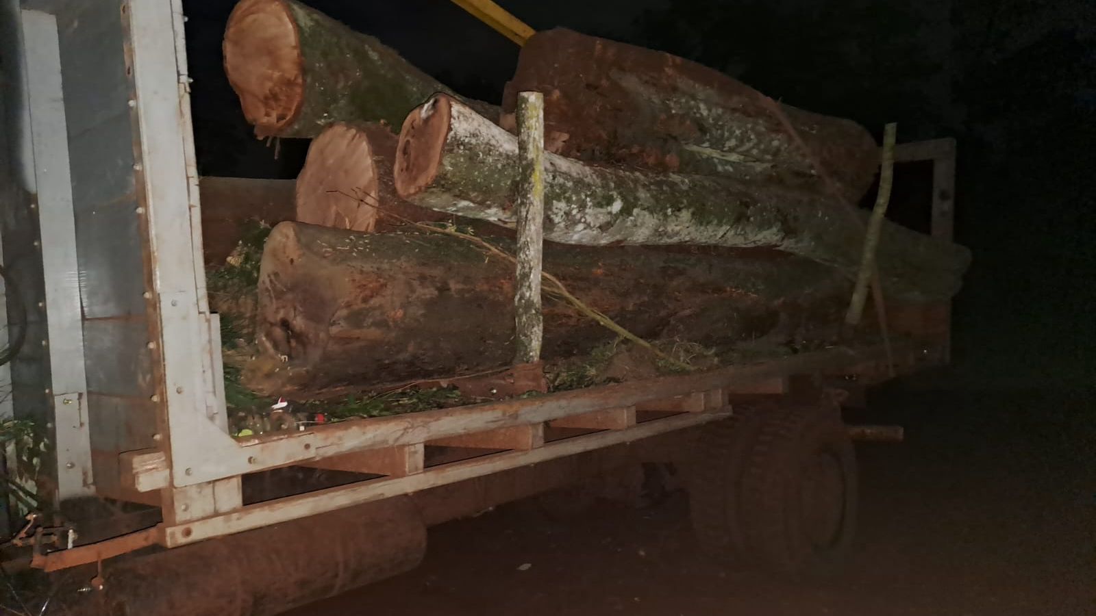 Secuestraron madera nativa en procedimientos de control en Comandante Andresito imagen-2