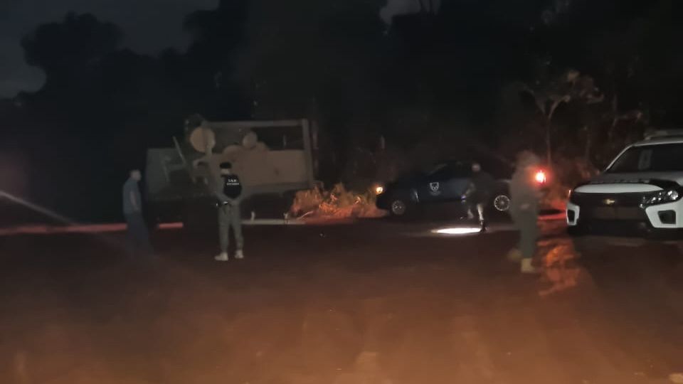 Secuestraron madera nativa en procedimientos de control en Comandante Andresito imagen-4