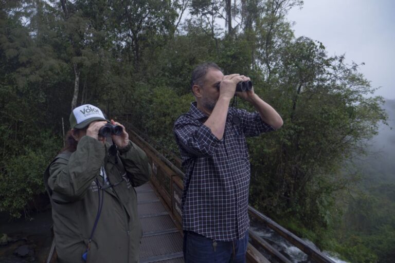 «Volar 2025» cerró en el Parque Nacional Iguazú con un avistaje de vencejos de cascada "Volar 2025" cerró en el Parque Nacional Iguazú con un avistaje de vencejos de cascada imagen-8