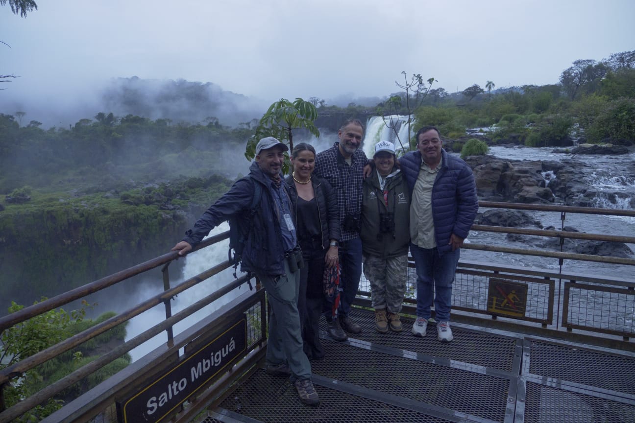 "Volar 2025" cerró en el Parque Nacional Iguazú con un avistaje de vencejos de cascada imagen-6