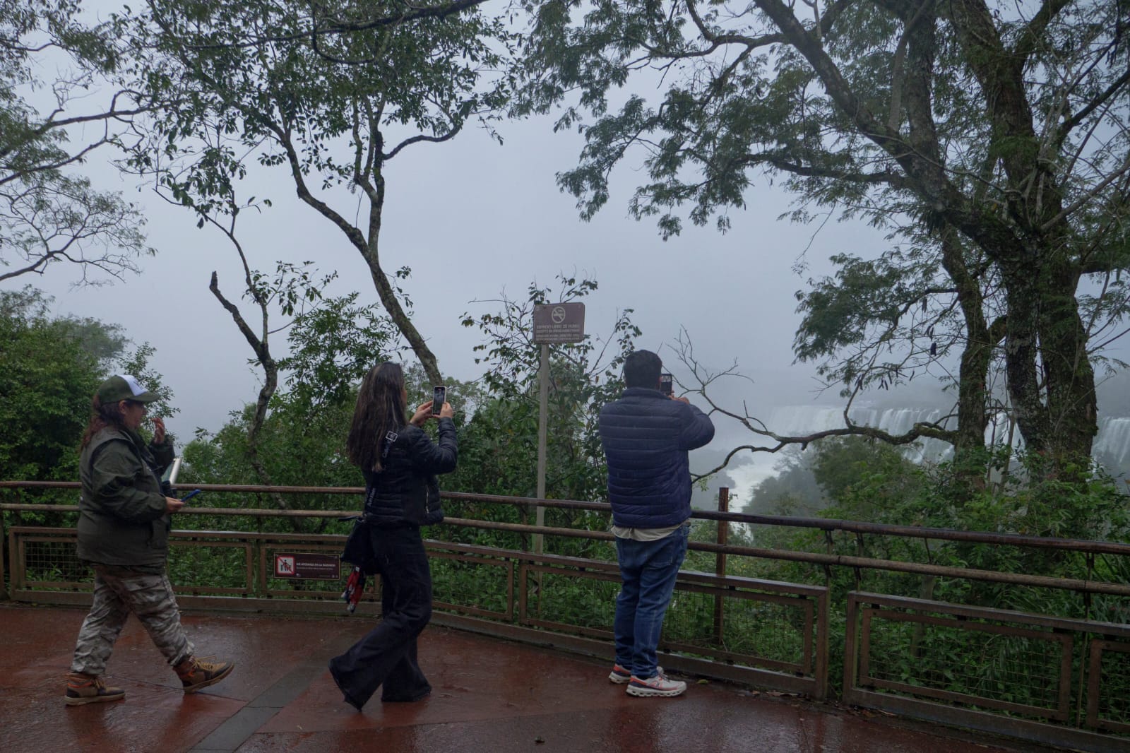 "Volar 2025" cerró en el Parque Nacional Iguazú con un avistaje de vencejos de cascada imagen-4