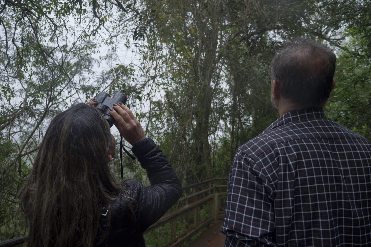 "Volar 2025" cerró en el Parque Nacional Iguazú con un avistaje de vencejos de cascada imagen-8