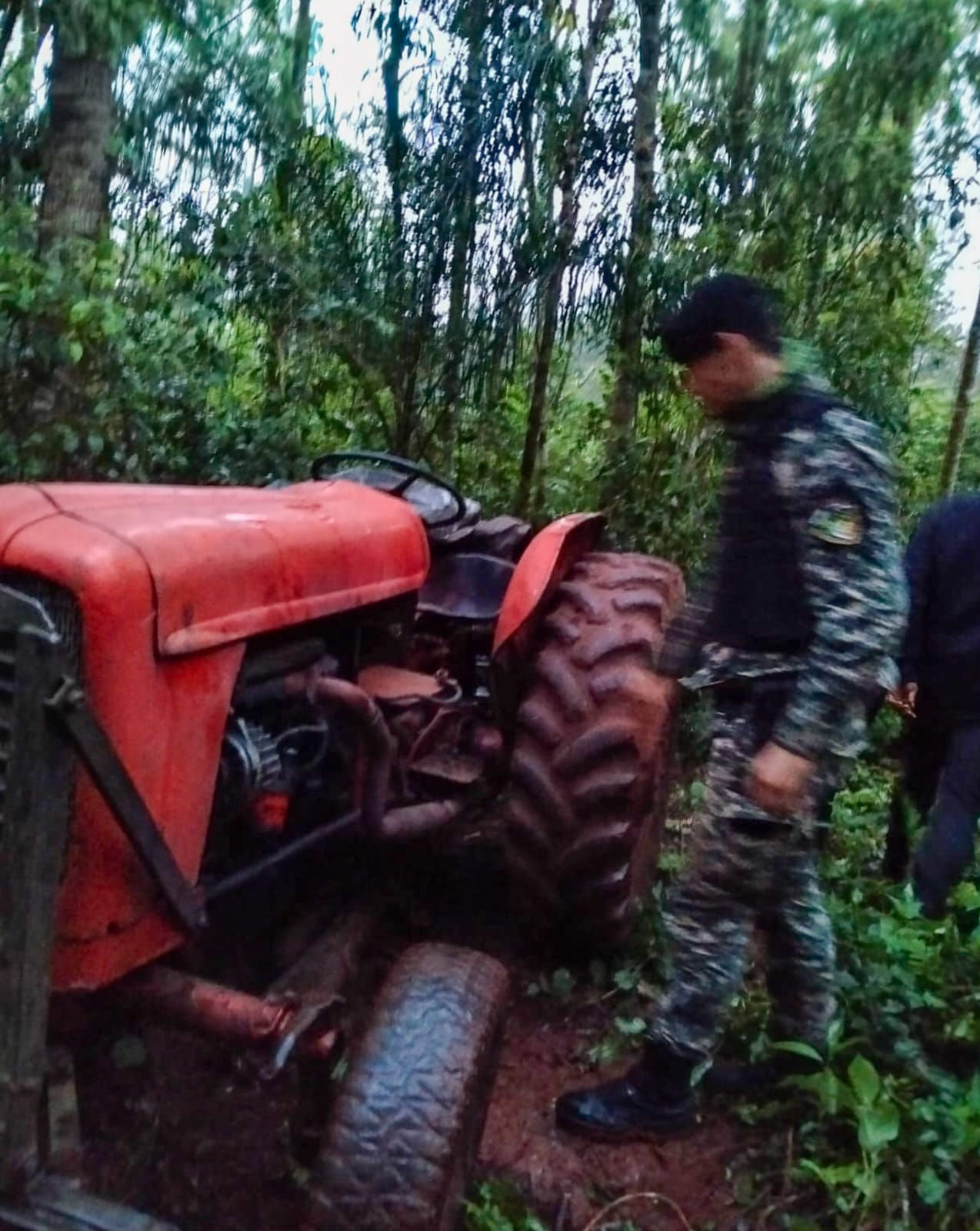 Causa por robo de maquinaria agrícola en Eldorado: recuperaron tractores, maquinaria forestal y detuvieron a dos hombres 3 Causa por robo de maquinaria agrícola en Eldorado: recuperaron tractores, maquinaria forestal y detuvieron a dos hombres imagen-2