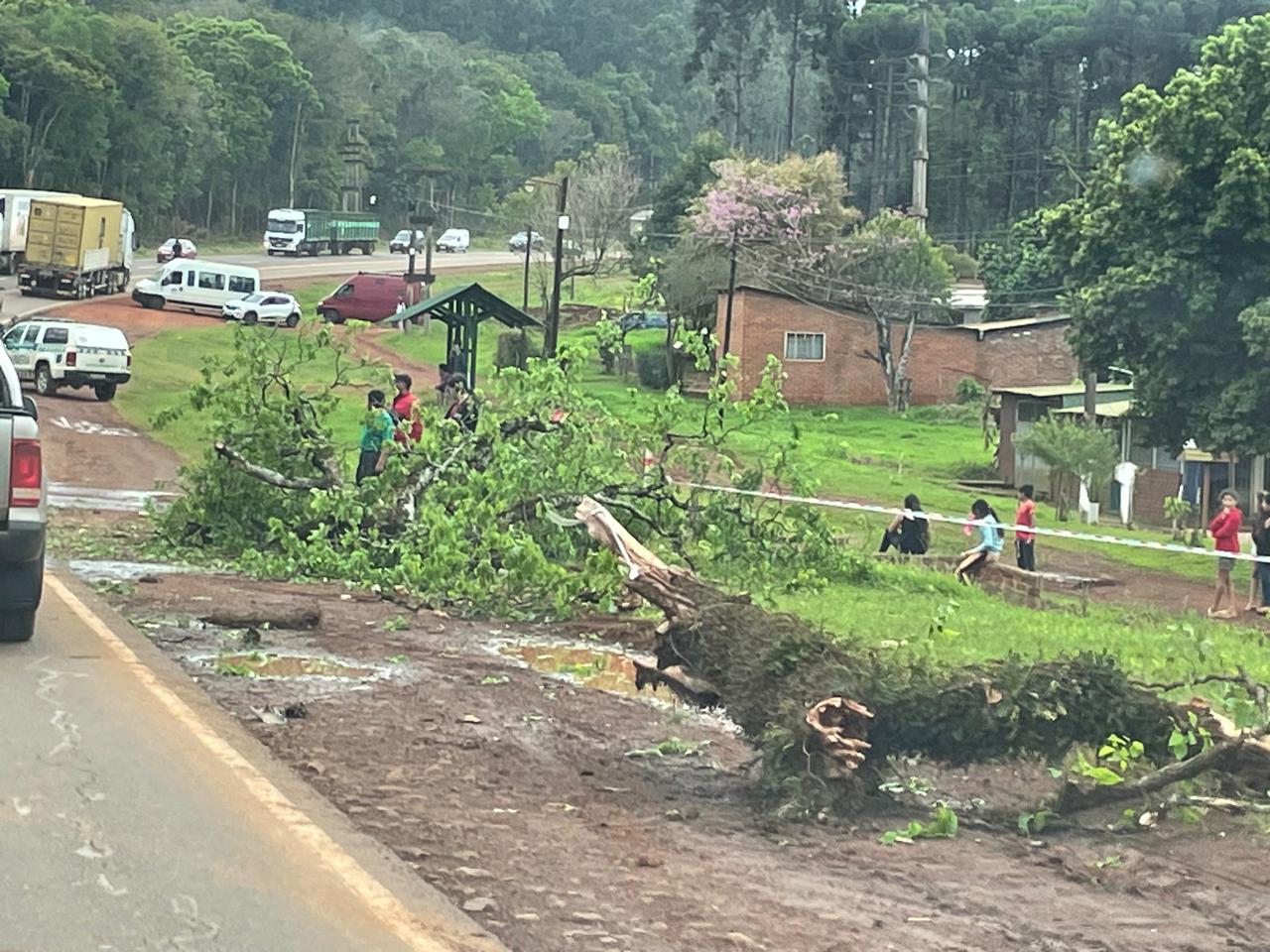 Despiste de ómnibus en el límite de Puerto Rico y Garuhapé deja dos heridos leves que fueron trasladados al hospital 3 Despiste de ómnibus en el límite de Puerto Rico y Garuhapé deja dos heridos leves que fueron trasladados al hospital imagen-2