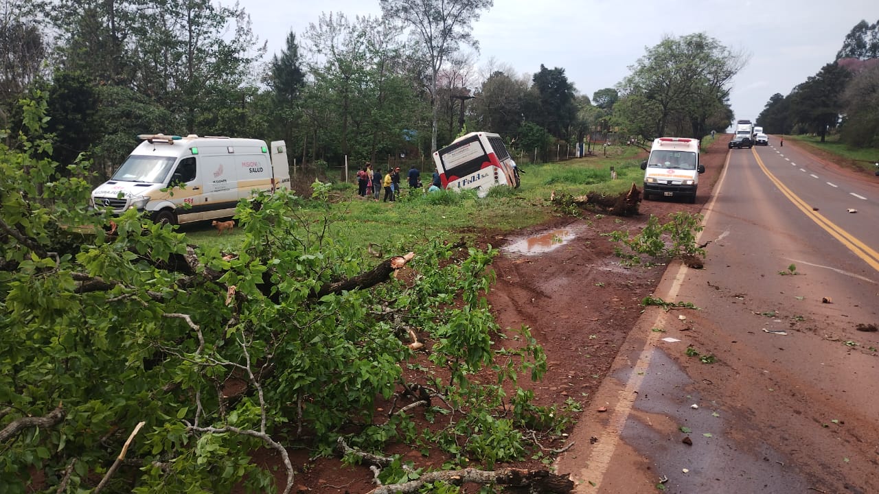 Despiste de ómnibus en el límite de Puerto Rico y Garuhapé deja dos heridos leves que fueron trasladados al hospital 11 Despiste de ómnibus en el límite de Puerto Rico y Garuhapé deja dos heridos leves que fueron trasladados al hospital imagen-10