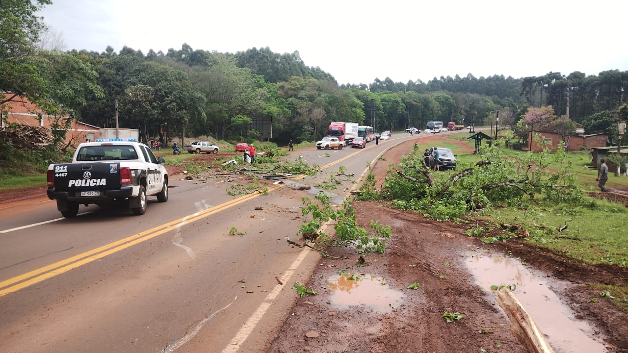 Despiste de ómnibus en el límite de Puerto Rico y Garuhapé deja dos heridos leves que fueron trasladados al hospital 13 Despiste de ómnibus en el límite de Puerto Rico y Garuhapé deja dos heridos leves que fueron trasladados al hospital imagen-12