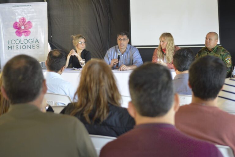 Misiones moderniza el acceso a la licencia de pesca deportiva con un nuevo sistema digital de autogestión Misiones moderniza el acceso a la licencia de pesca deportiva con un nuevo sistema digital de autogestión imagen-6