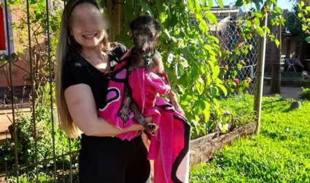 La Policía rescató a un perro, víctima de maltrato en Posadas imagen-10