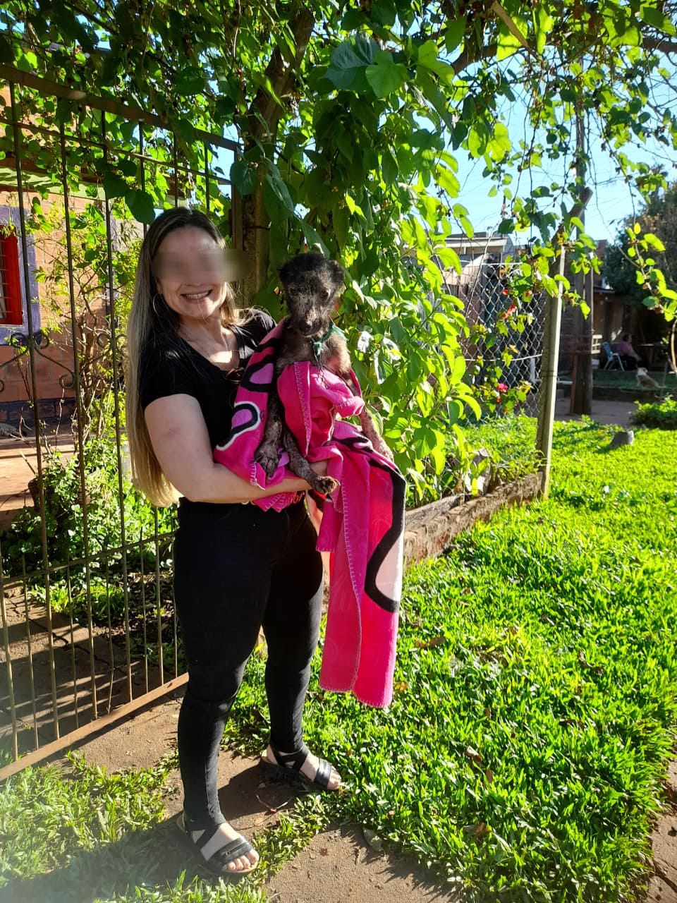 La Policía rescató a un perro, víctima de maltrato en Posadas imagen-2