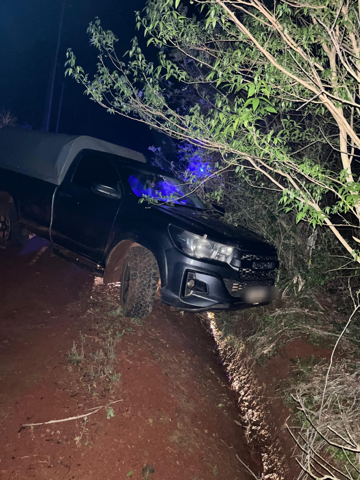 La Policía de Misiones incautó más de 1.200 kilos de marihuana valuados en $4.400 millones imagen-2