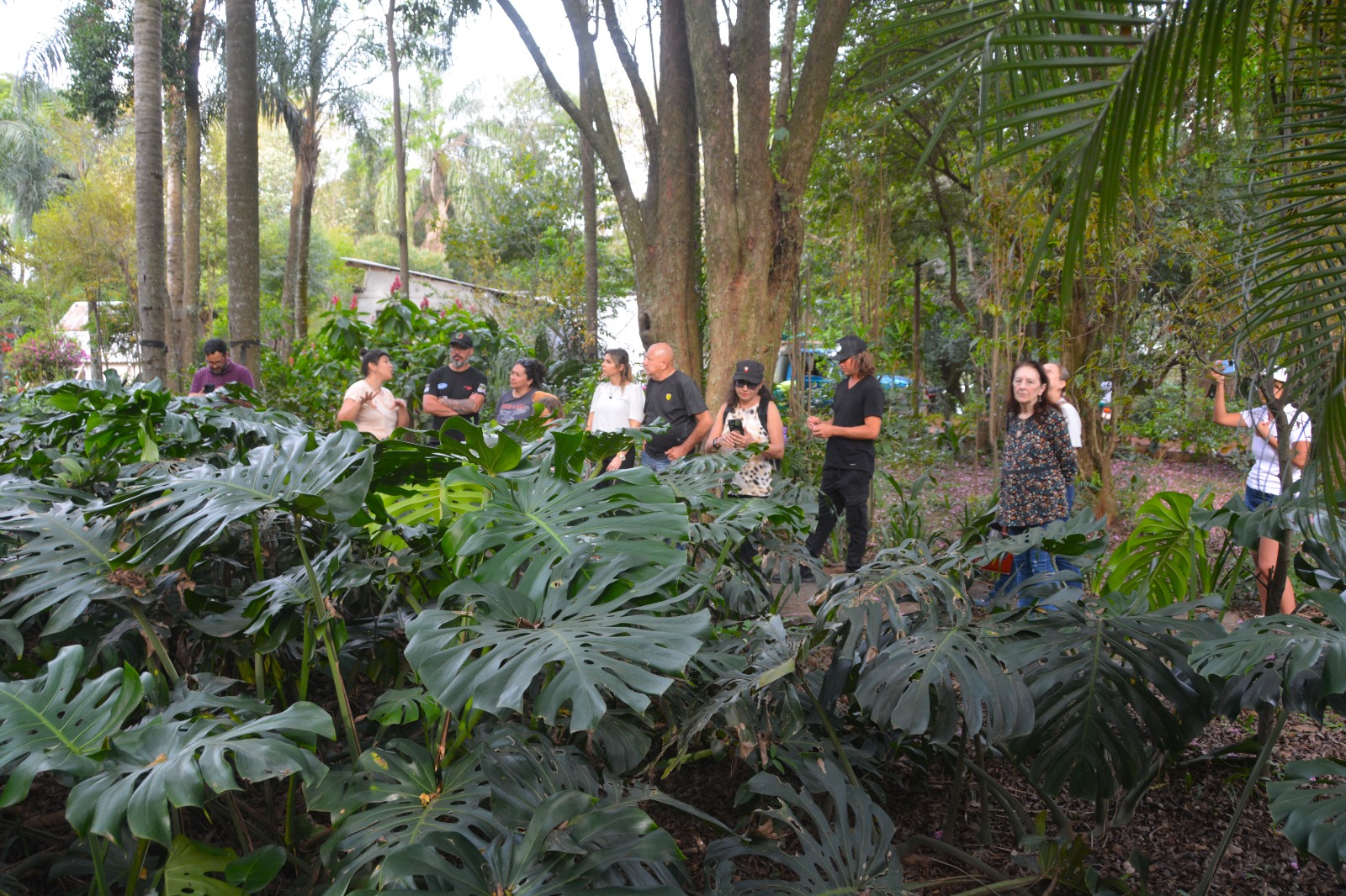Rodanteros disfrutaron de la naturaleza misionera en el Jardín Botánico 9 Rodanteros disfrutaron de la naturaleza misionera en el Jardín Botánico imagen-8