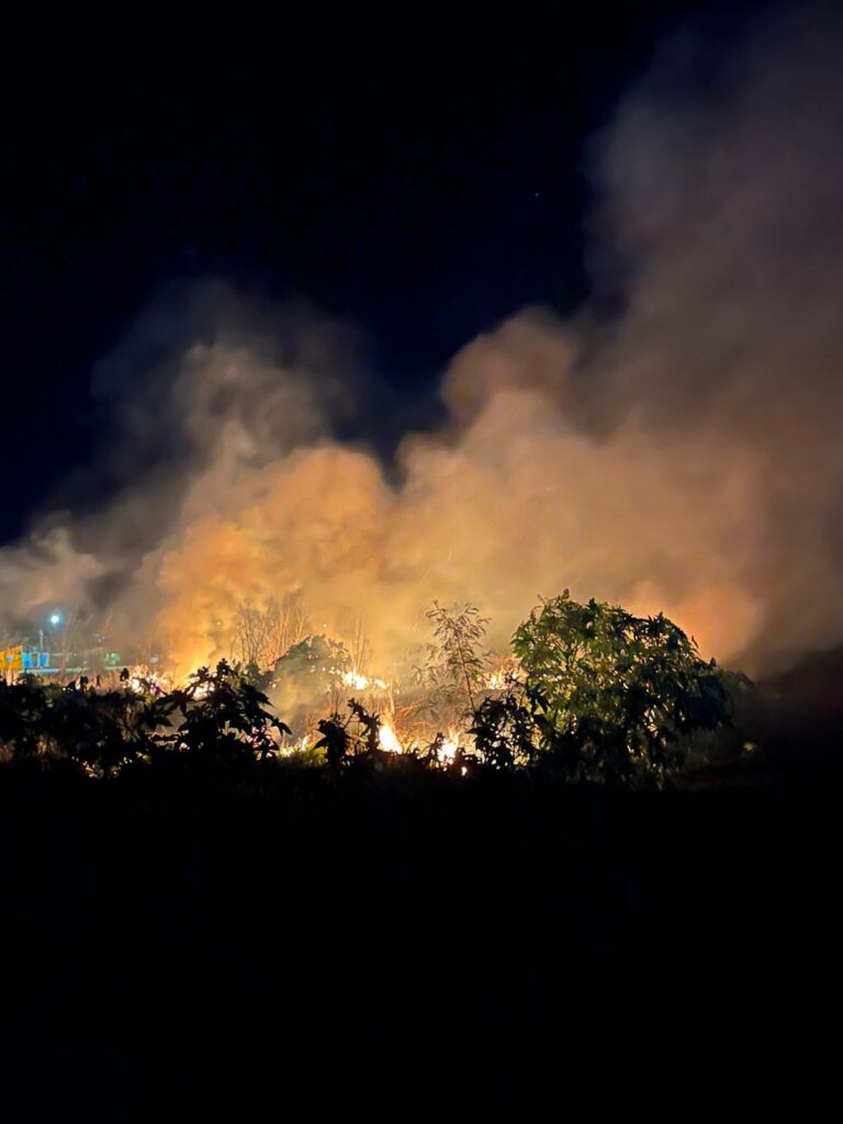 Posadas: Bomberos sofocaron un incendio de malezas en el barrio Lucero Posadas: Bomberos sofocaron un incendio de malezas en el barrio Lucero imagen-29