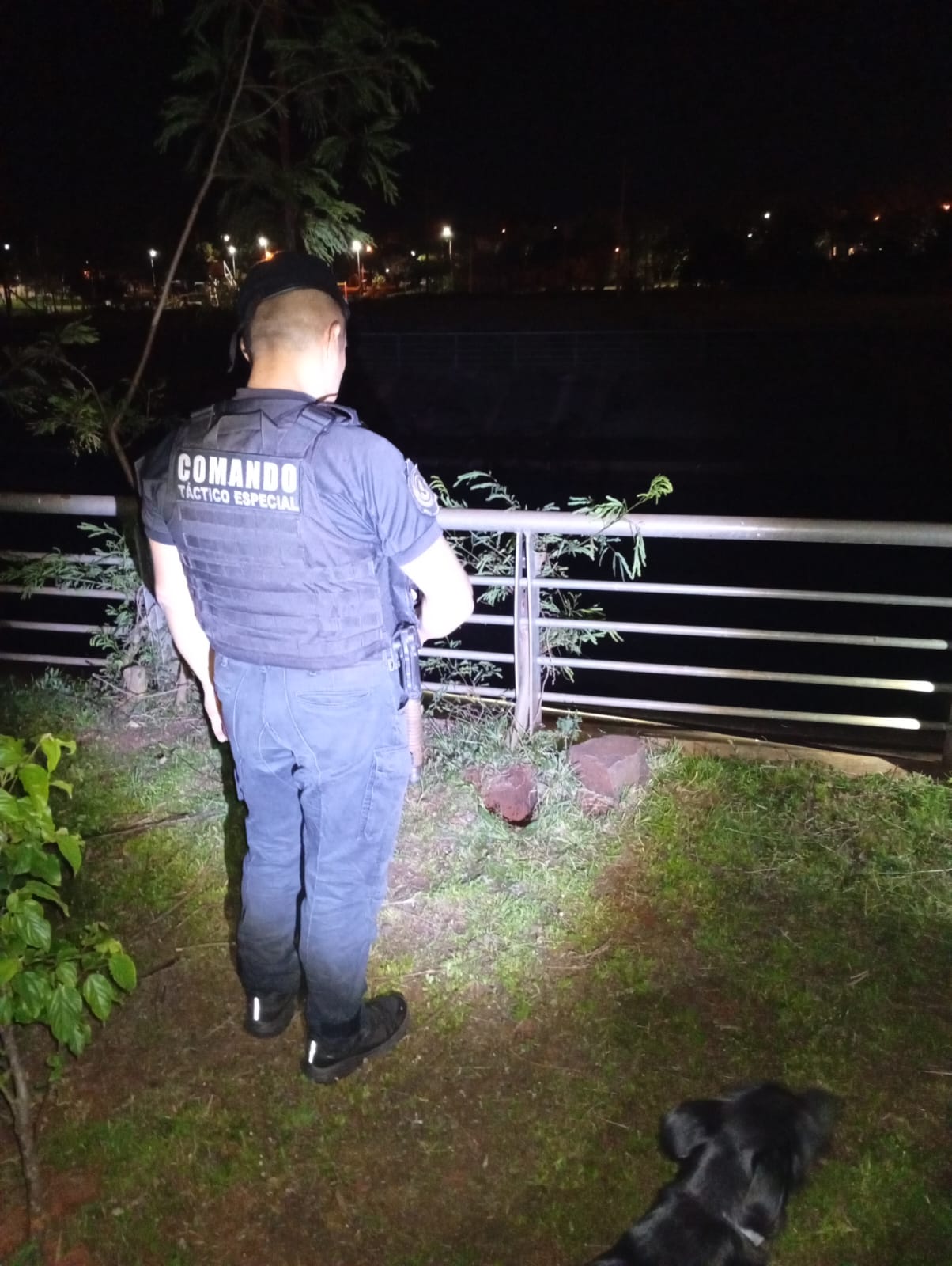 Posadas: robaron postes de luz de un club, fueron rastreados por las cámaras y terminaron detenidos 3 Posadas: robaron postes de luz de un club, fueron rastreados por las cámaras y terminaron detenidos imagen-2