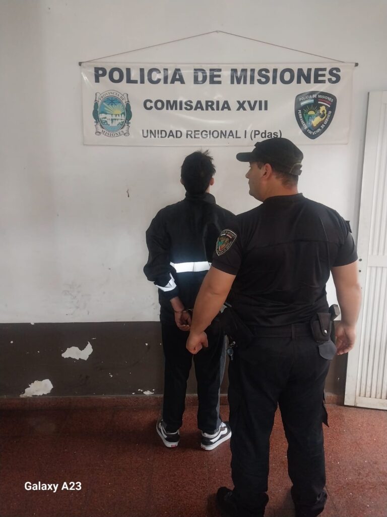 Posadas: un ladrón fue detenido tras ser identificado por las cámaras del 911 al intentar robar cables imagen-35