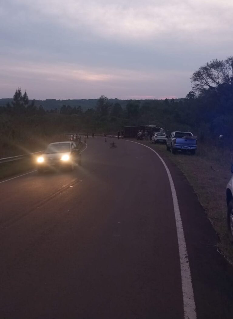 Campo Grande: camionero resultó herido tras despiste en la Ruta Provincial 8 imagen-10
